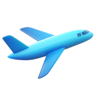 Flight